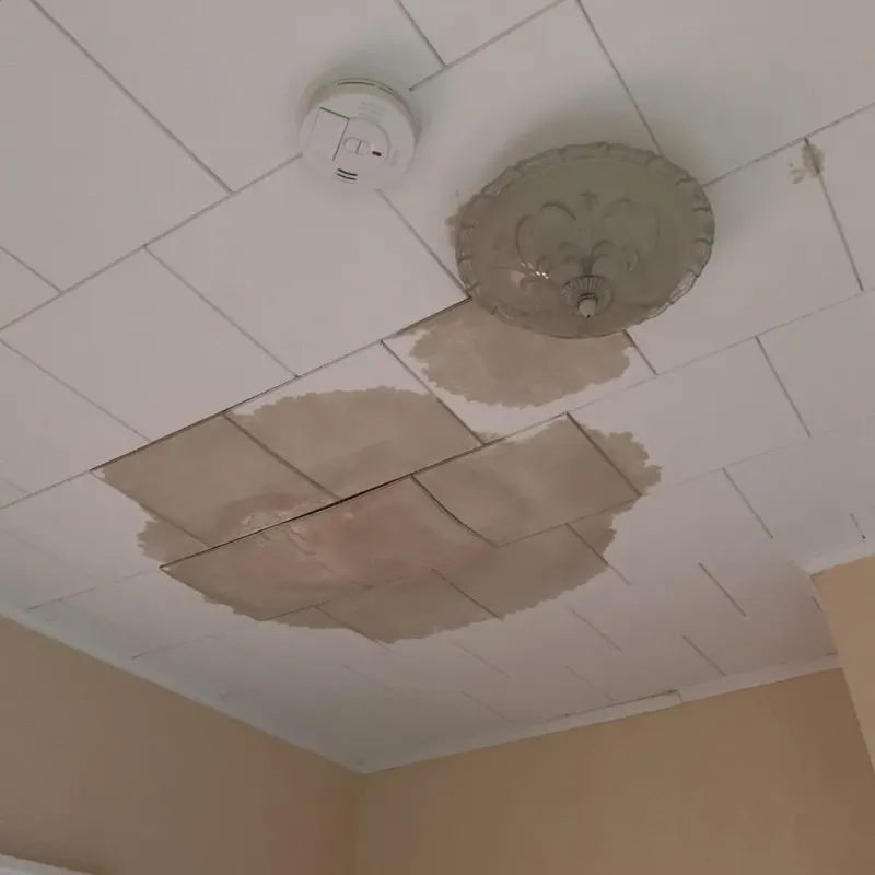 Ceiling Water Damage Repair in Akron, IA